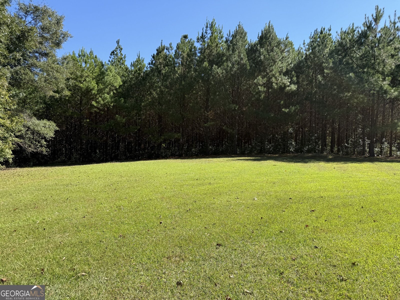 2323 Pleasant Valley Road Woodland - Photo 53