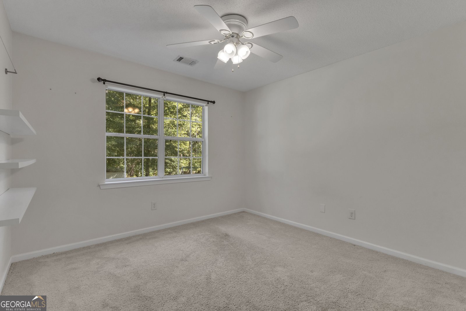 692 Willow Dell Drive Senoia - Photo 42