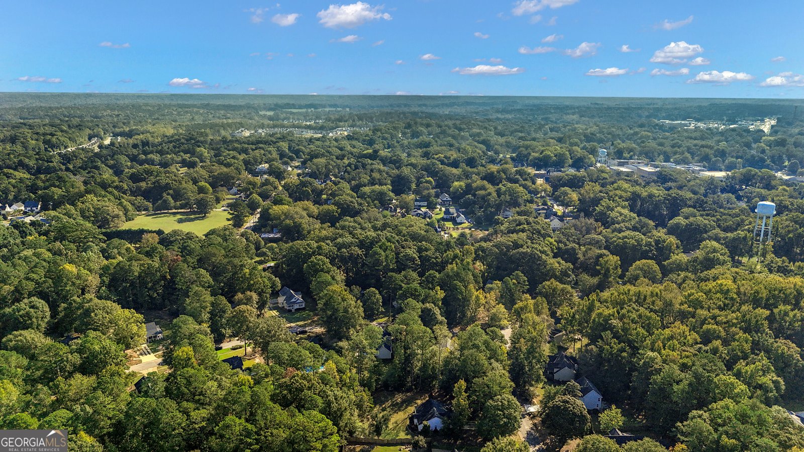 692 Willow Dell Drive Senoia - Photo 69