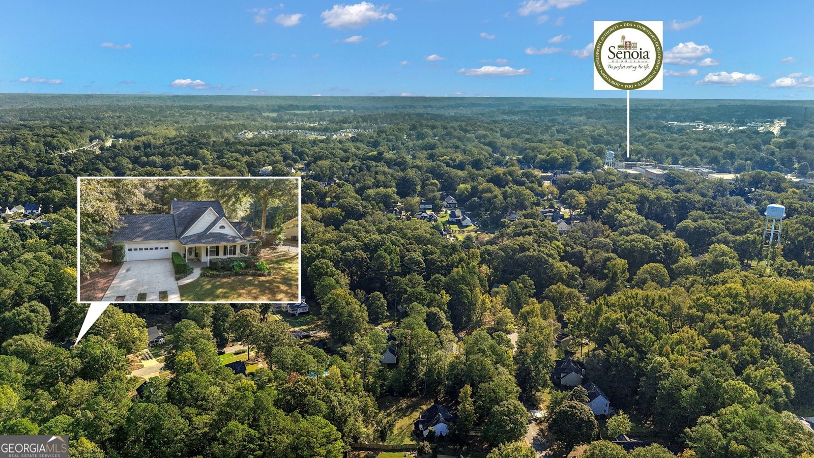 692 Willow Dell Drive Senoia - Photo 70