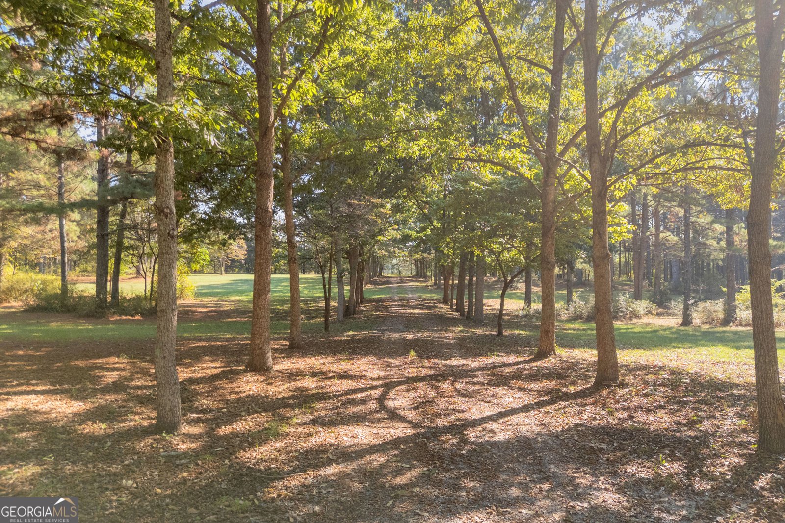2023 Stephens Road Elberton - Photo 28