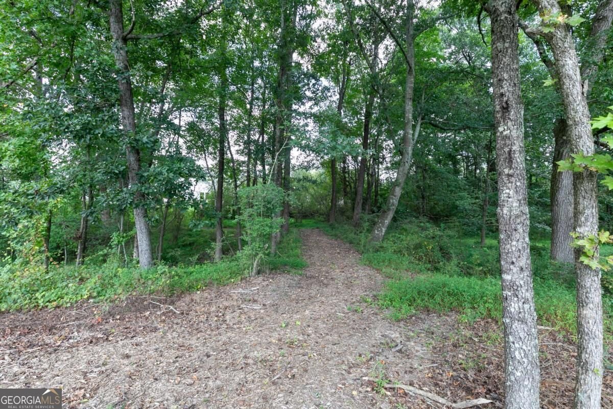 3550 Willow Glade Trail Lawrenceville - Photo 36