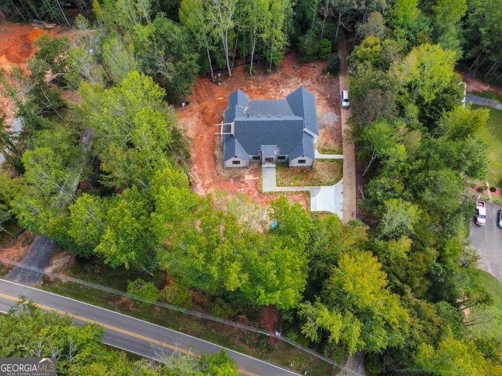 7405 Nicholson Road Cumming - Photo 6