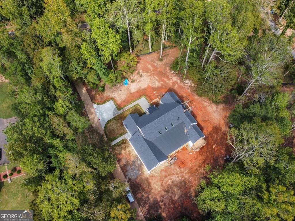7405 Nicholson Road Cumming - Photo 8