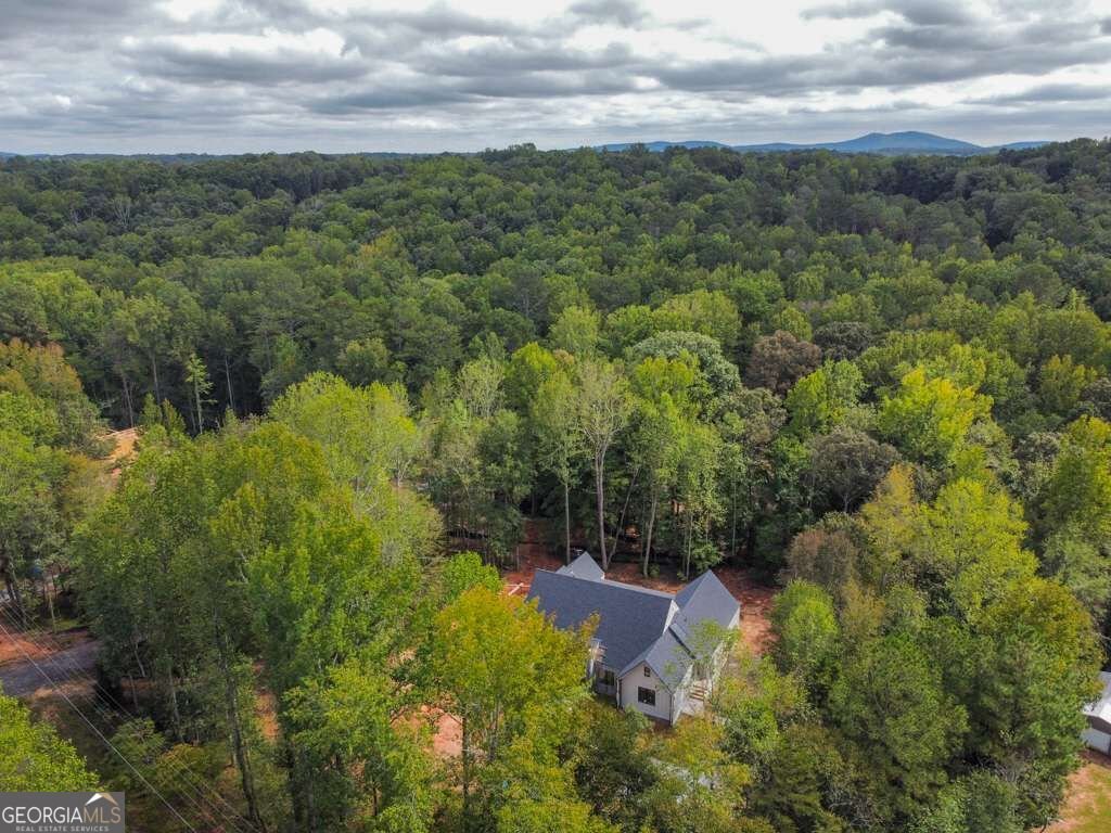 7405 Nicholson Road Cumming - Photo 9