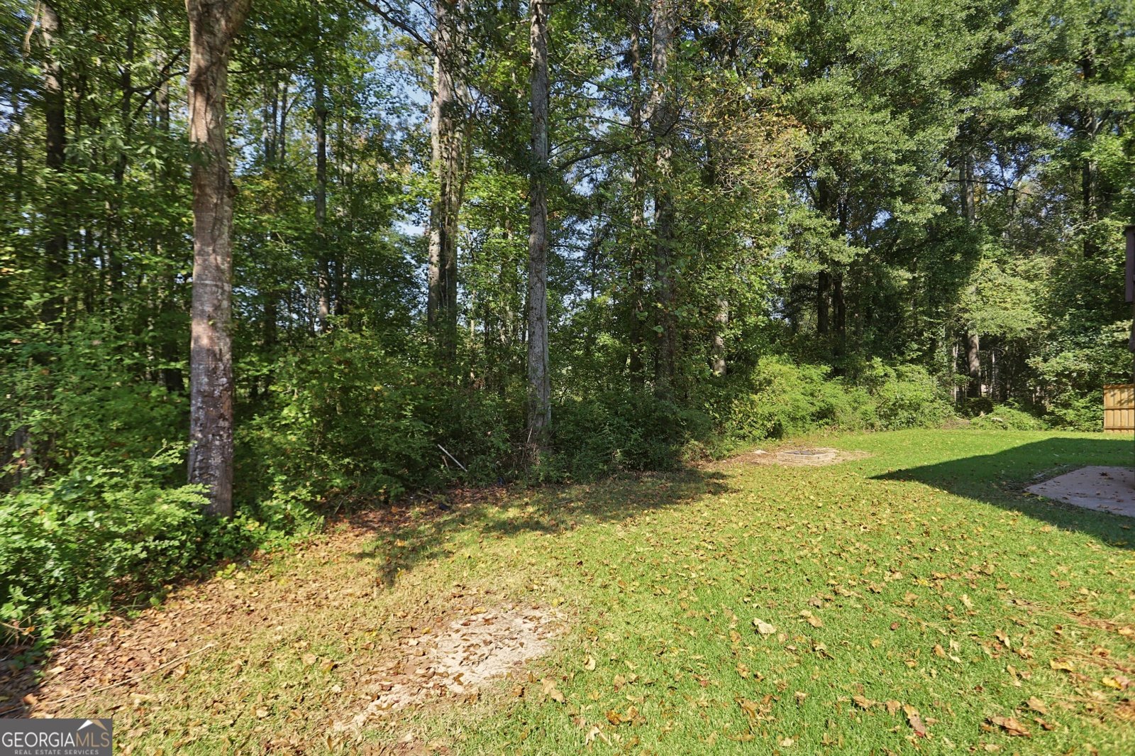 996 Spanish Moss Trail Loganville - Photo 80