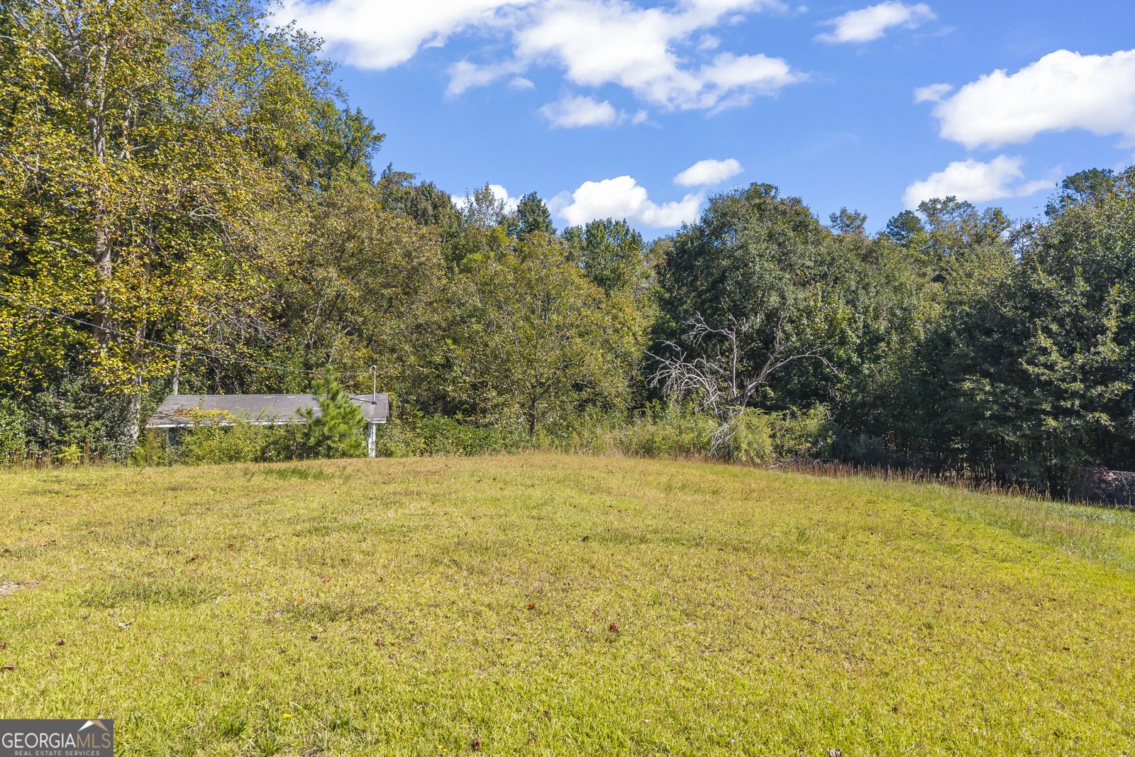 229 Lewis Street Toccoa - Photo 36