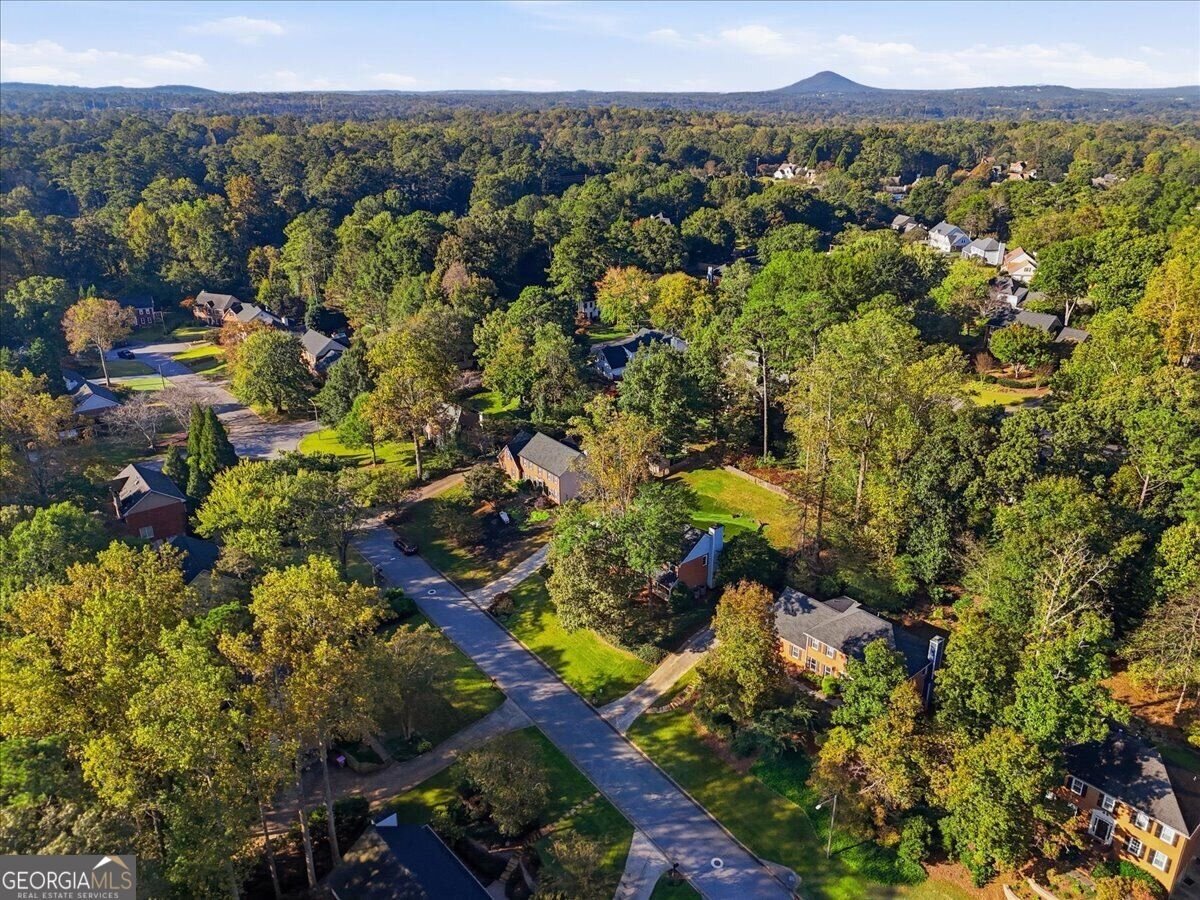 3255 Sweet Buckeye Drive Marietta - Photo 35