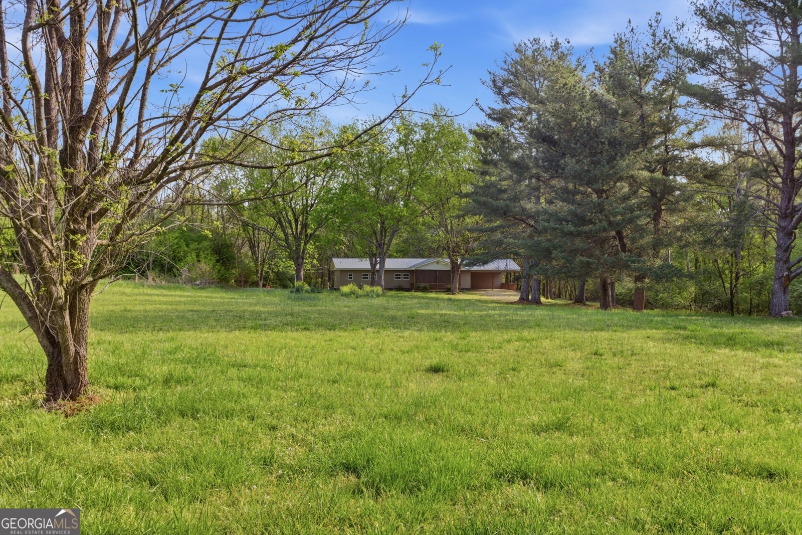 6668 Belton Bridge Road Lula - Photo 11