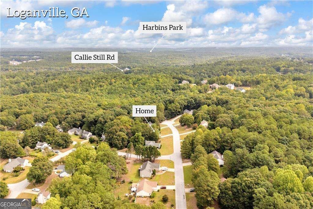 1450 Timber Walk Drive Loganville - Photo 29