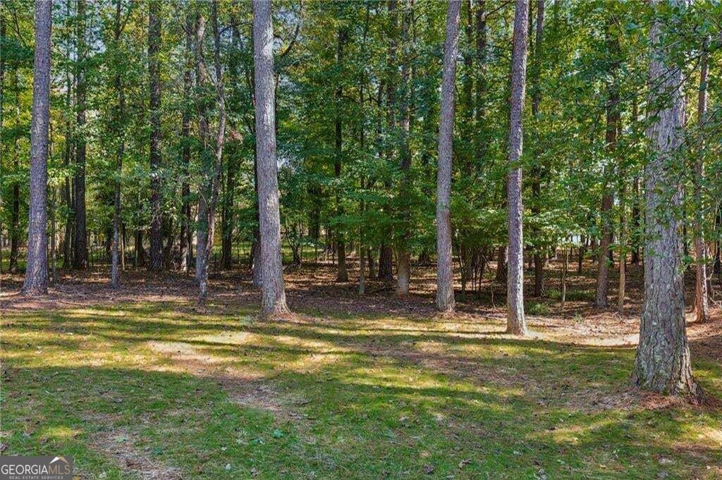 107 Emerald Cove Drive Woodstock - Photo 55