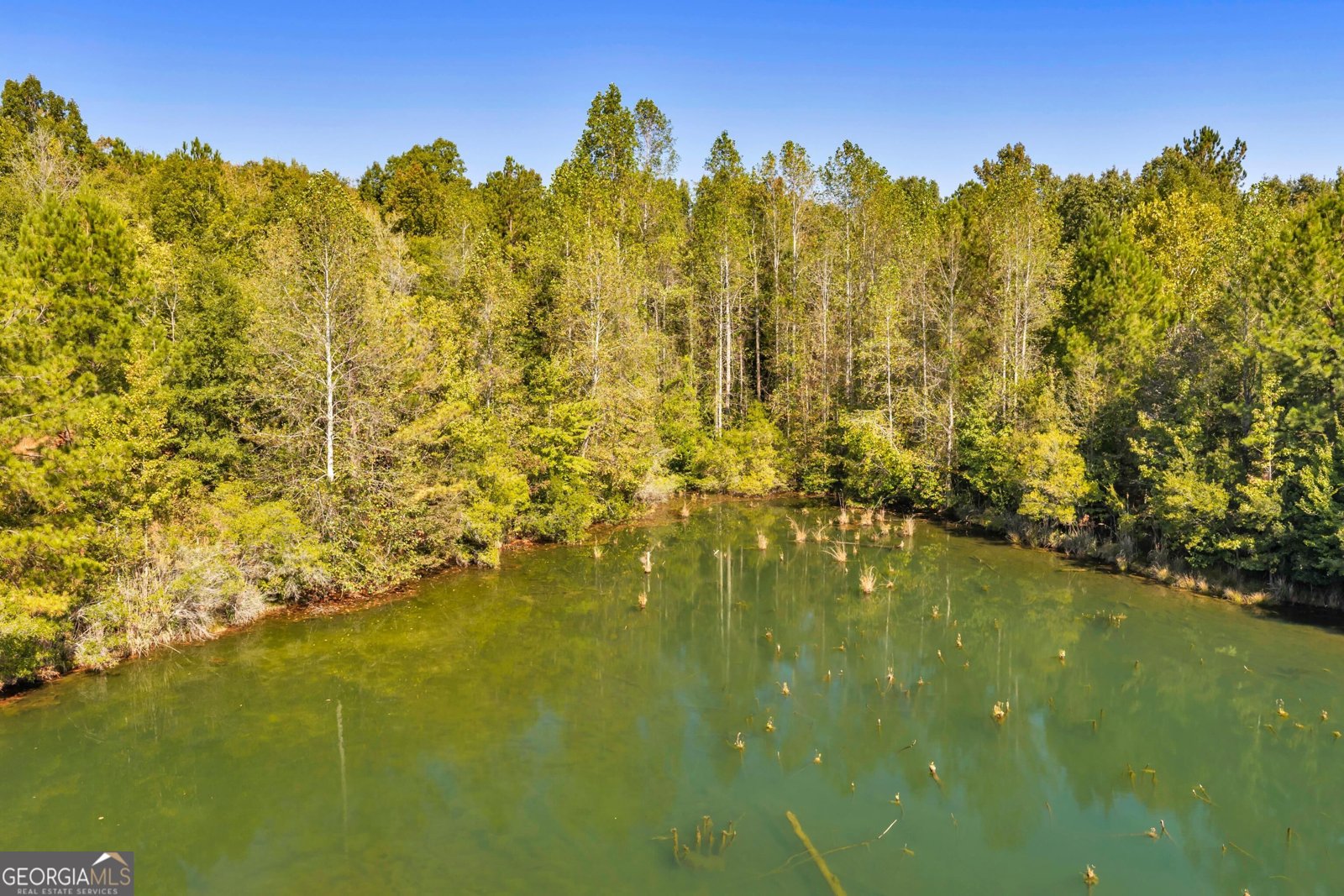 2274 Oconee Church Road Dublin - Photo 61