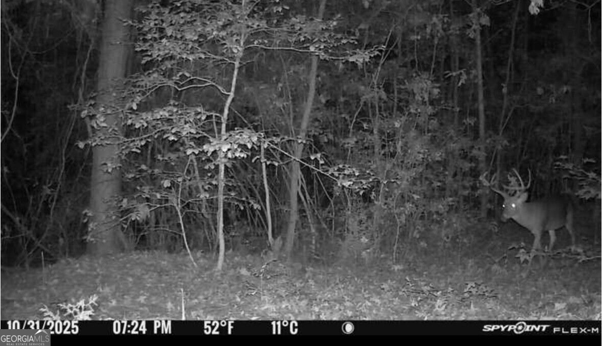 2274 Oconee Church Road Dublin - Photo 95
