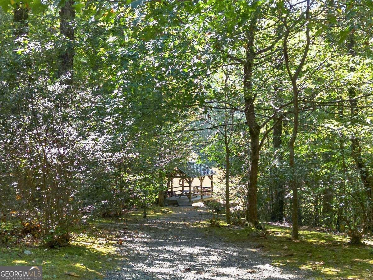 1970 Big Ben Road Ellijay - Photo 42