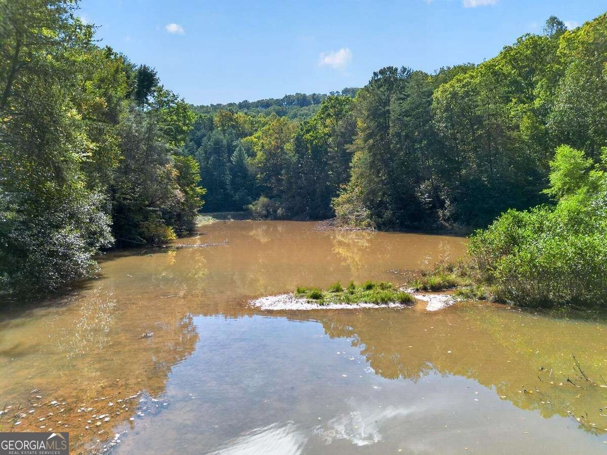 1970 Big Ben Road Ellijay - Photo 46