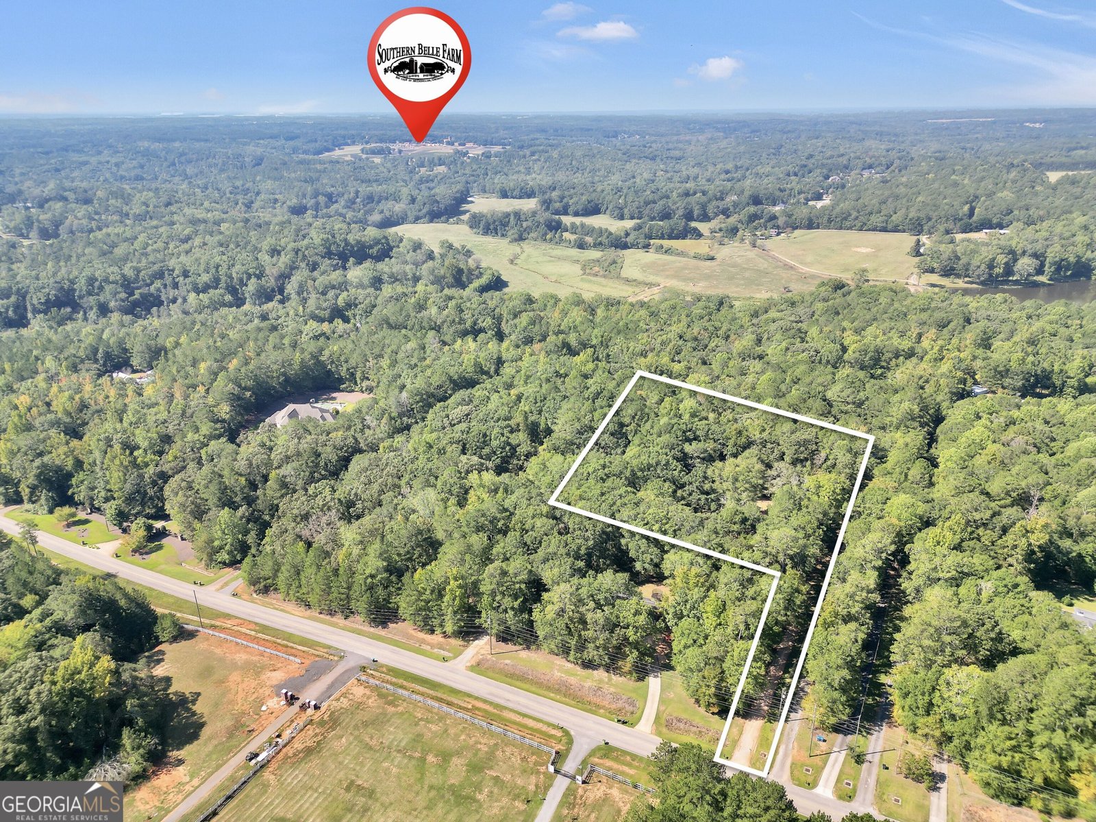 431 Turner Drive McDonough - Photo 36