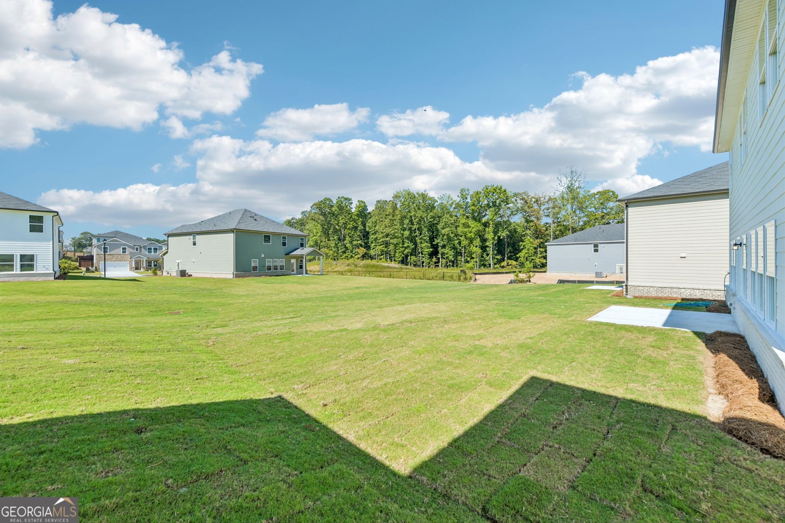 606 Tallulah Lane Grayson - Photo 45