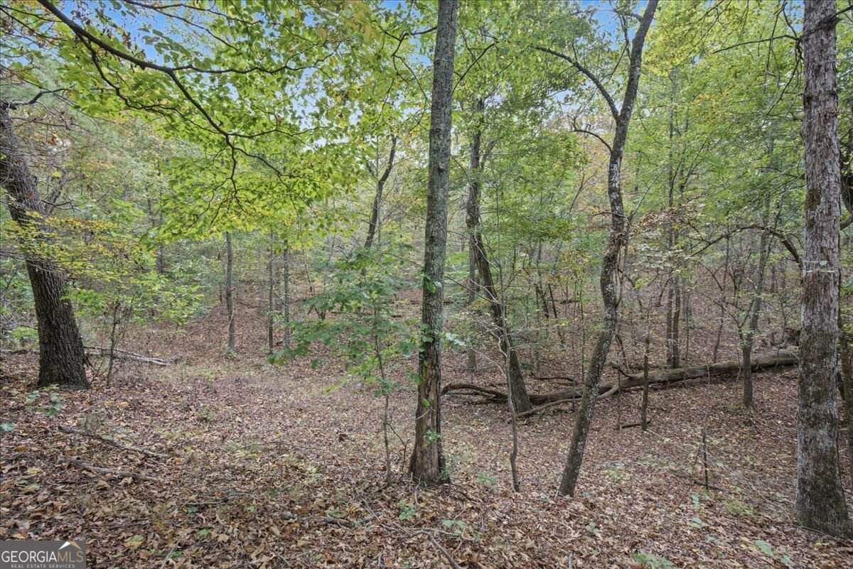 63 Hardin Bridge Road Kingston - Photo 54