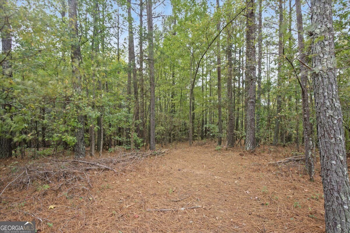63 Hardin Bridge Road Kingston - Photo 55