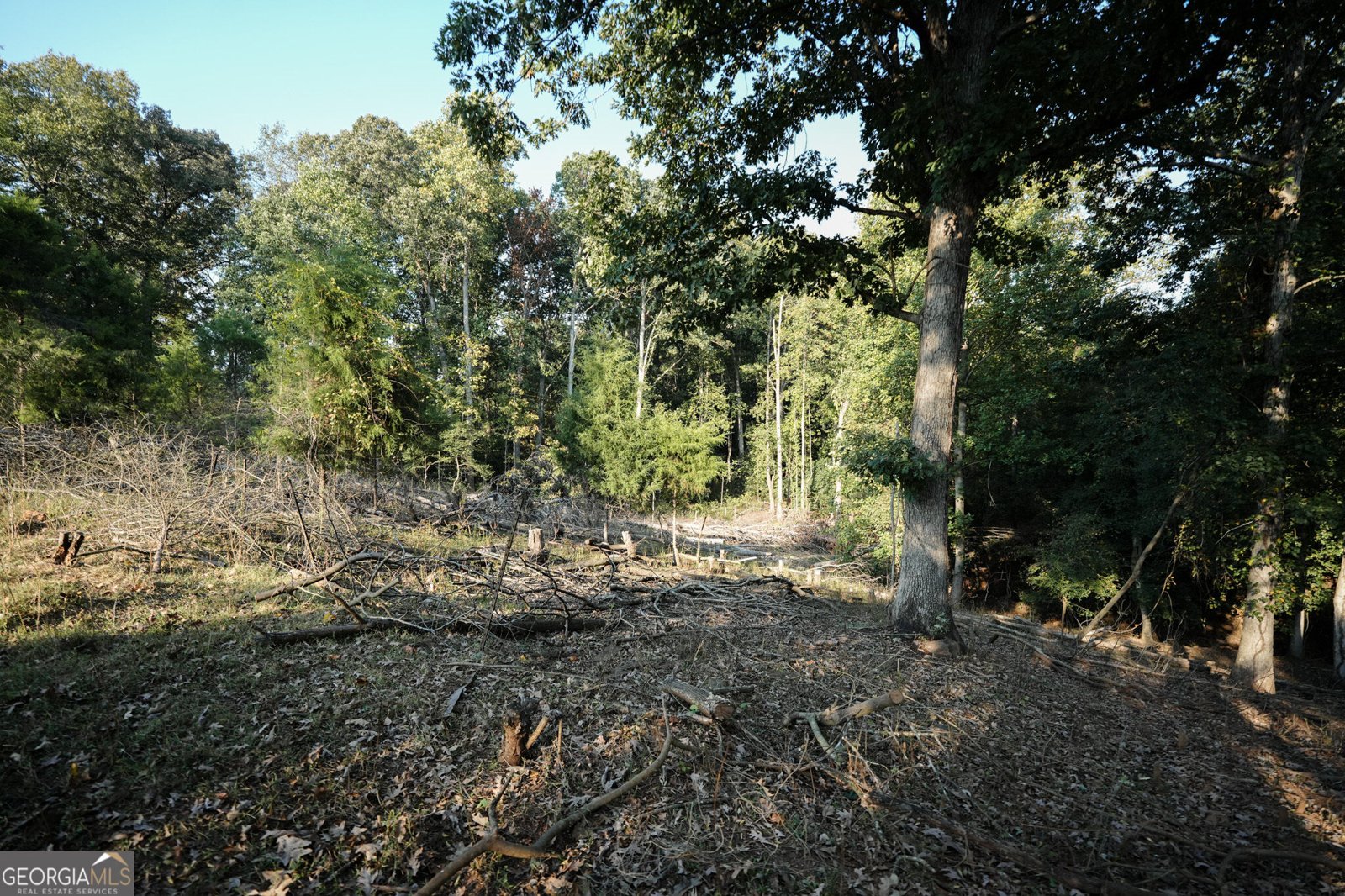 2614 Hartwell Highway Elberton - Photo 25