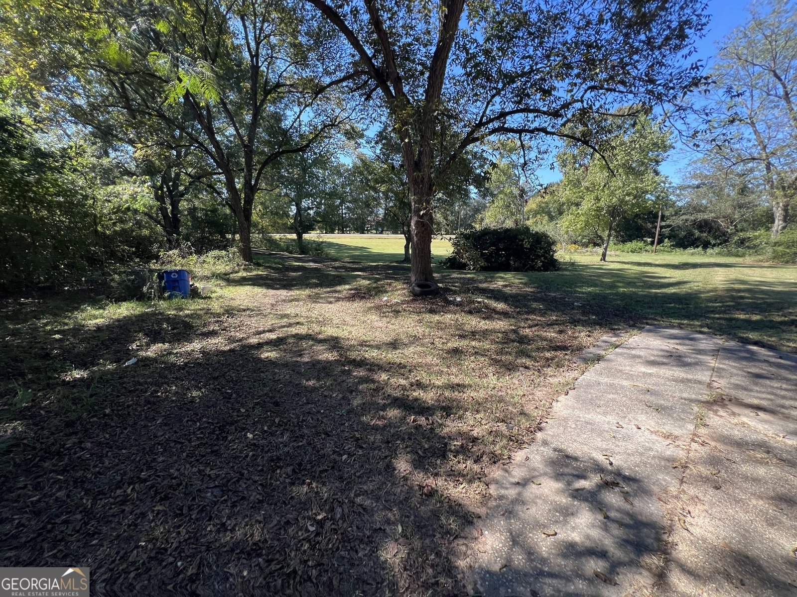 3530 Ga Highway 85 Manchester - Photo 40