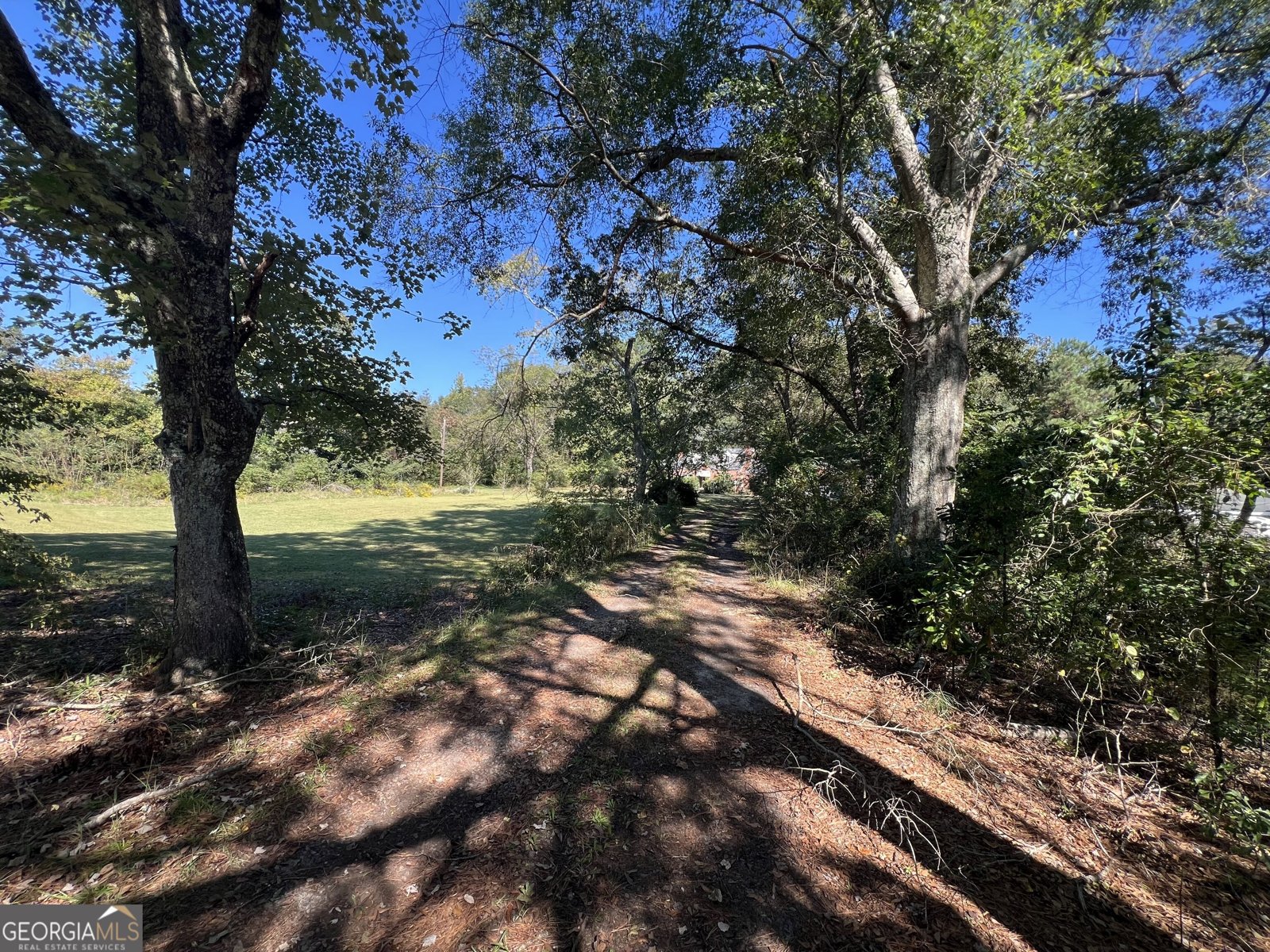 3530 Ga Highway 85 Manchester - Photo 41