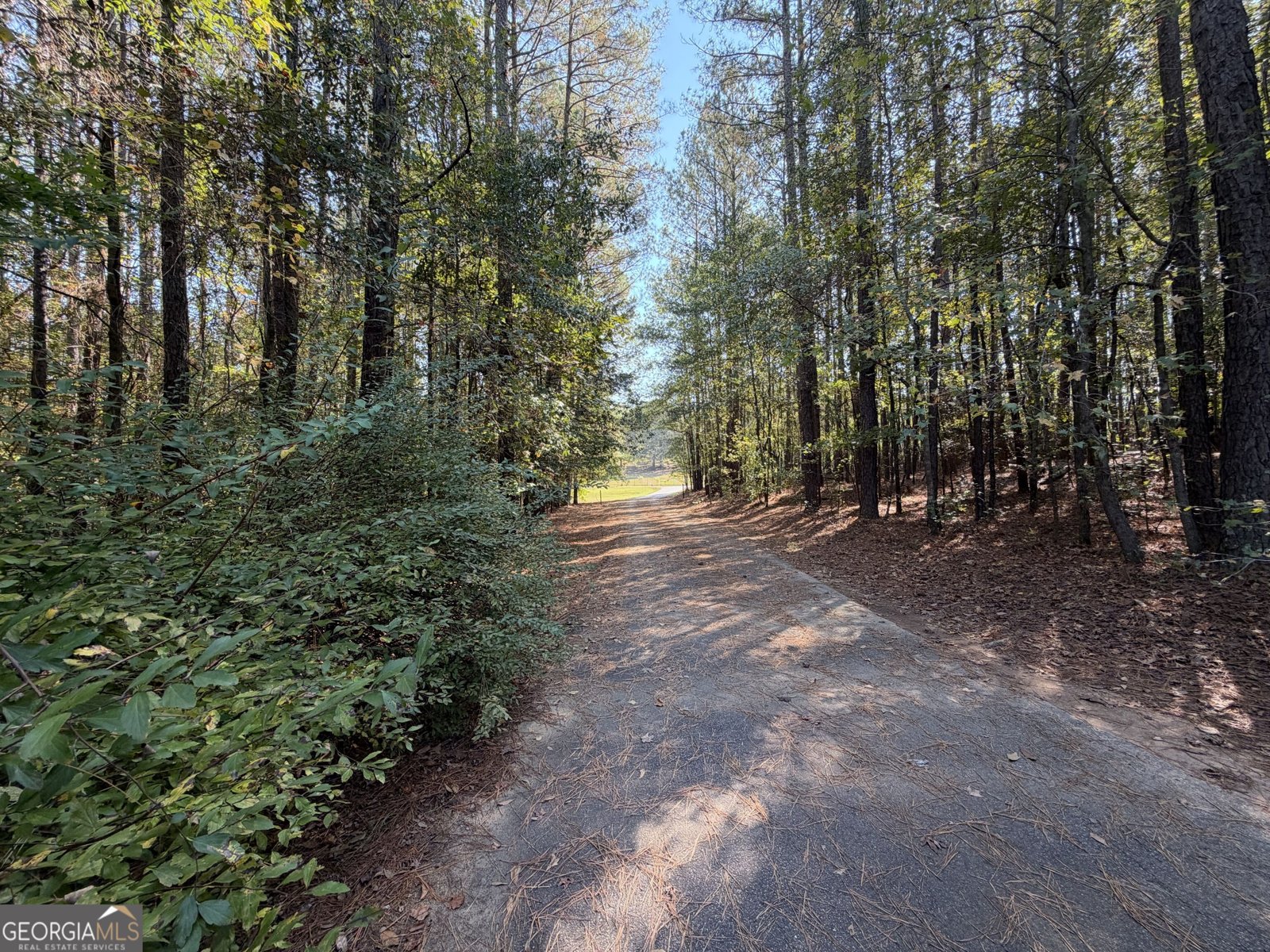 1215 Brush Creek Road Colbert - Photo 59
