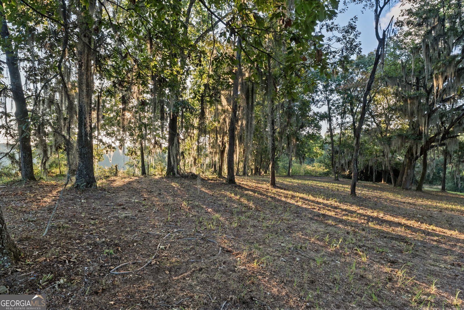 3587 Hancock Landing Road Waynesboro - Photo 62