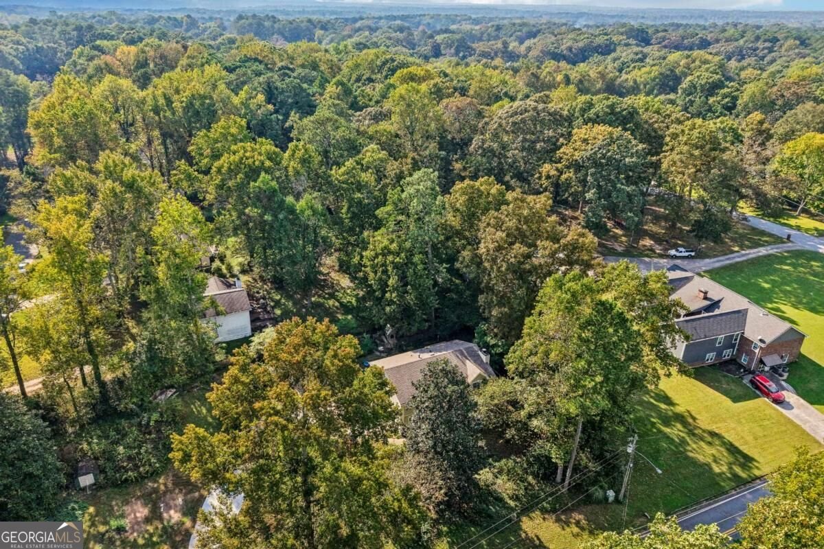 1947 Britt Drive Snellville - Photo 31