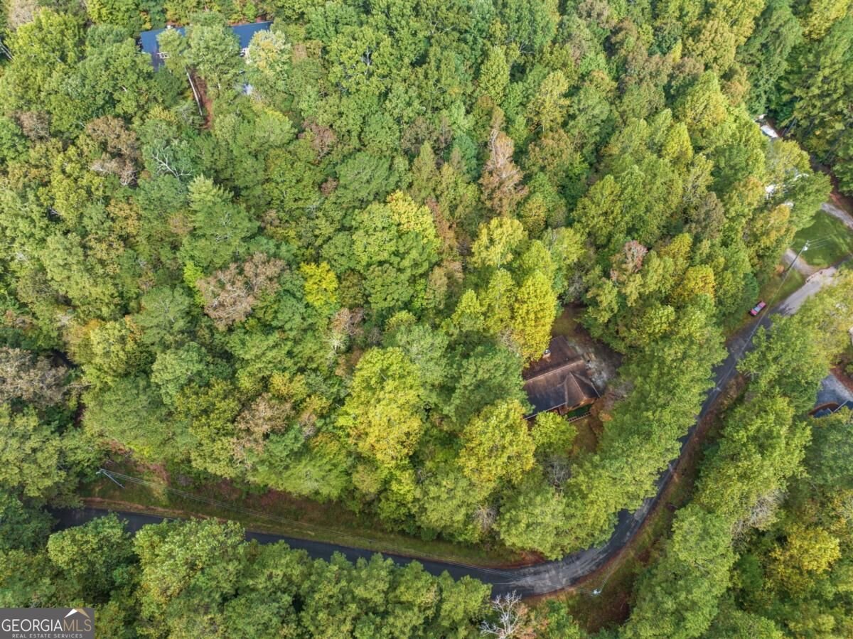 212 Nexus Drive Ellijay - Photo 33