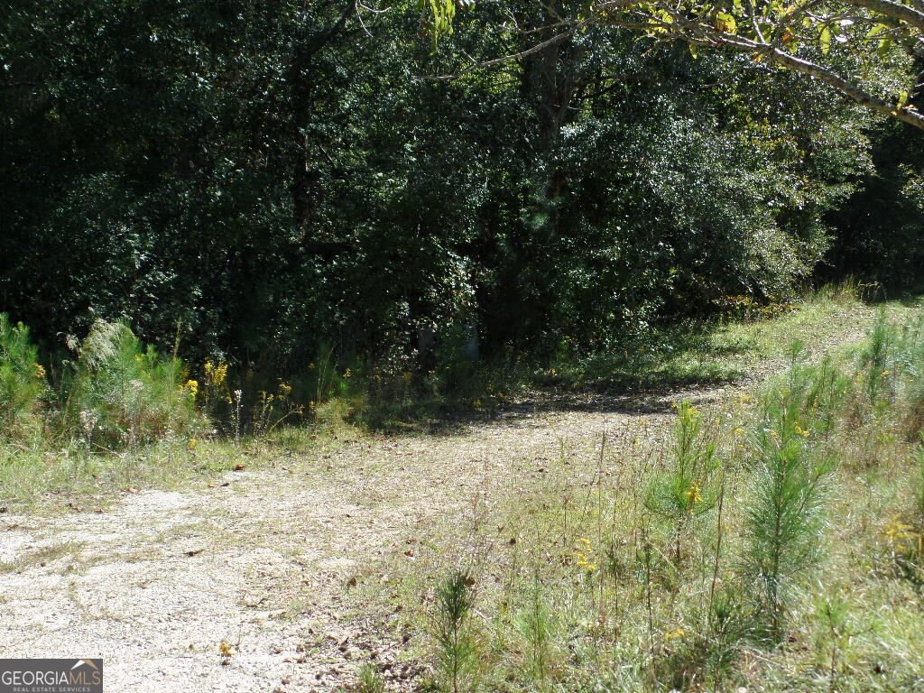 229 Dixon Road Newnan - Photo 10
