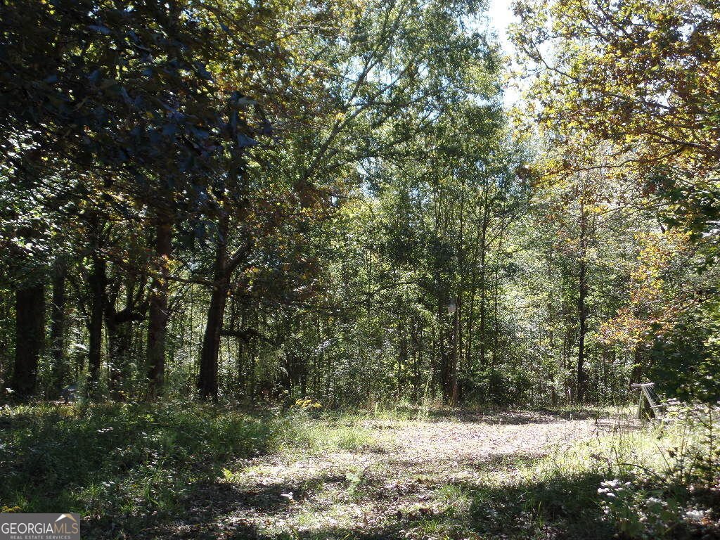 229 Dixon Road Newnan - Photo 11