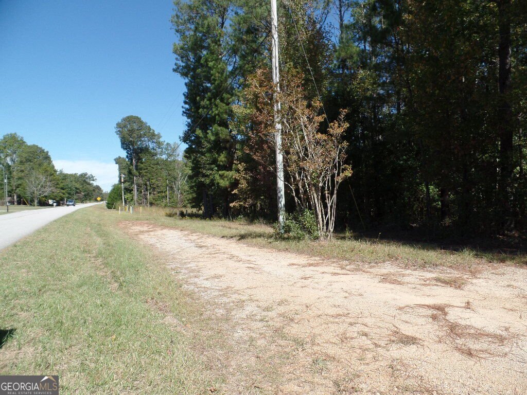 229 Dixon Road Newnan - Photo 15