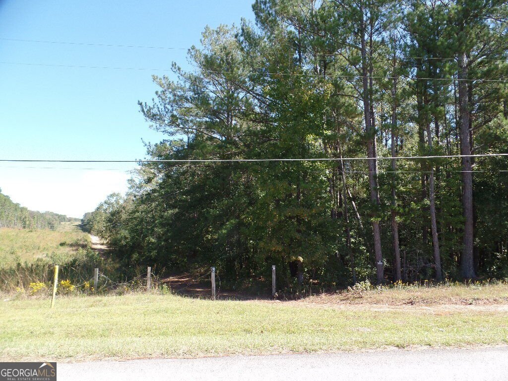 229 Dixon Road Newnan - Photo 16