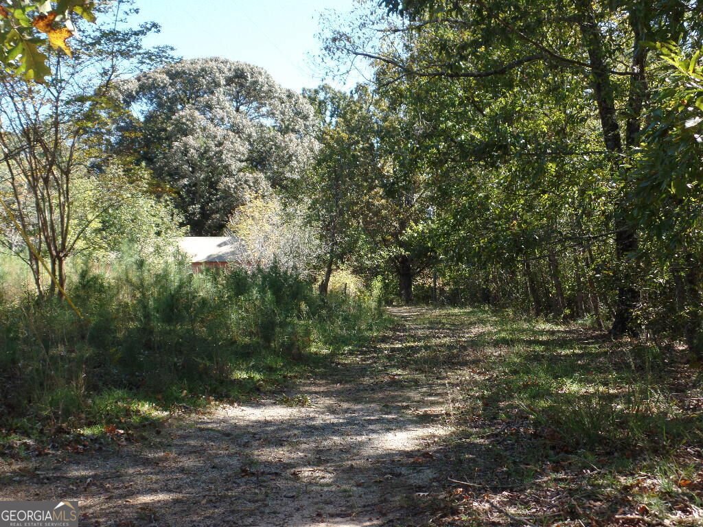 229 Dixon Road Newnan - Photo 6