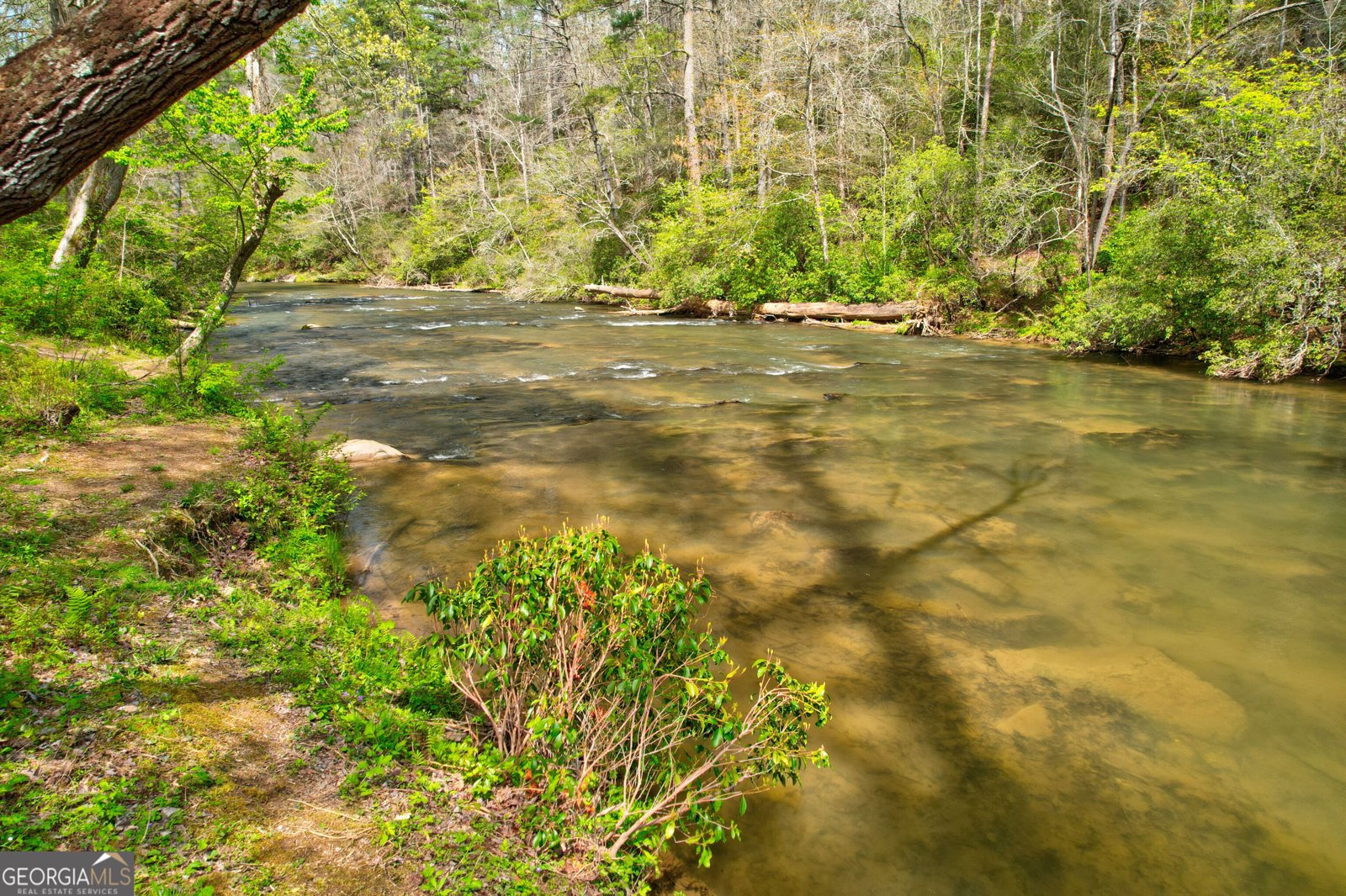 136 Gallery Court Ellijay - Photo 11