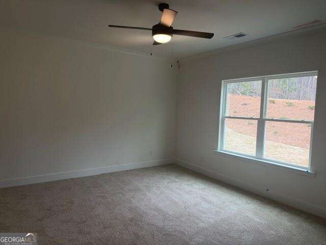 214 Thunder Valley Dawsonville - Photo 13