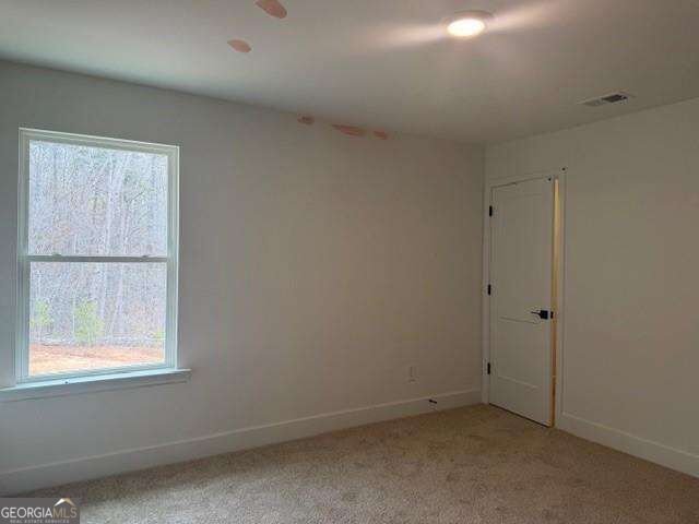 214 Thunder Valley Dawsonville - Photo 21
