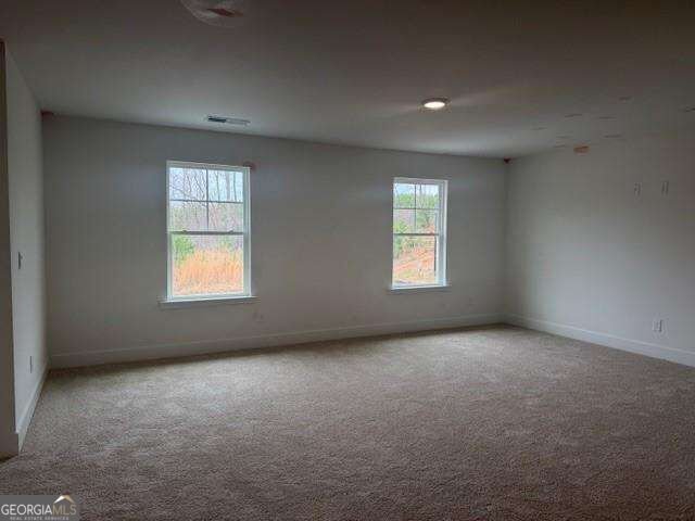214 Thunder Valley Dawsonville - Photo 22