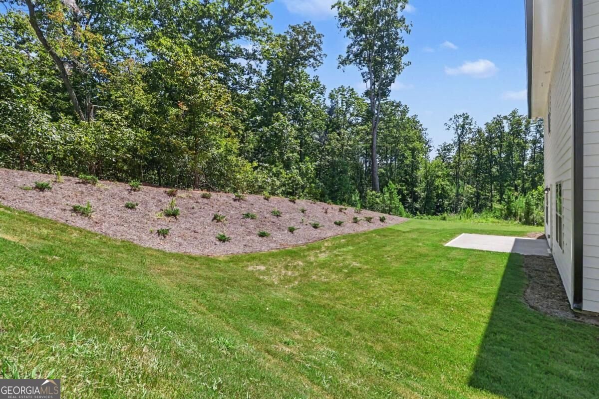 214 Thunder Valley Dawsonville - Photo 27