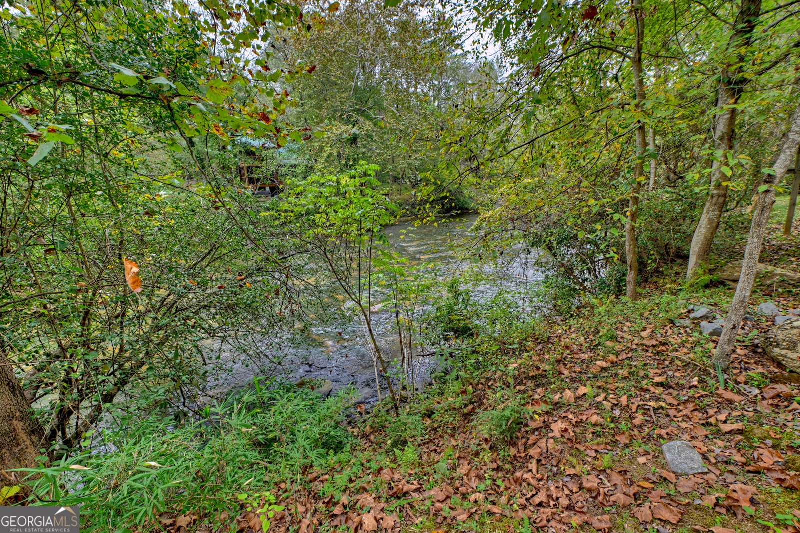 633 Riverfront Drive Ellijay - Photo 73