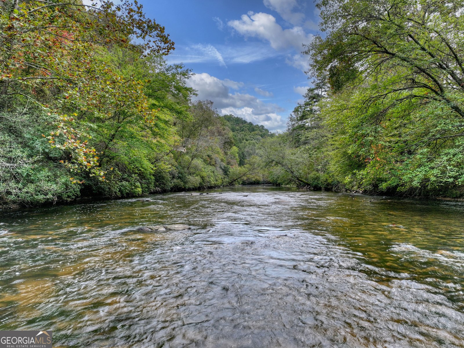 633 Riverfront Drive Ellijay - Photo 86
