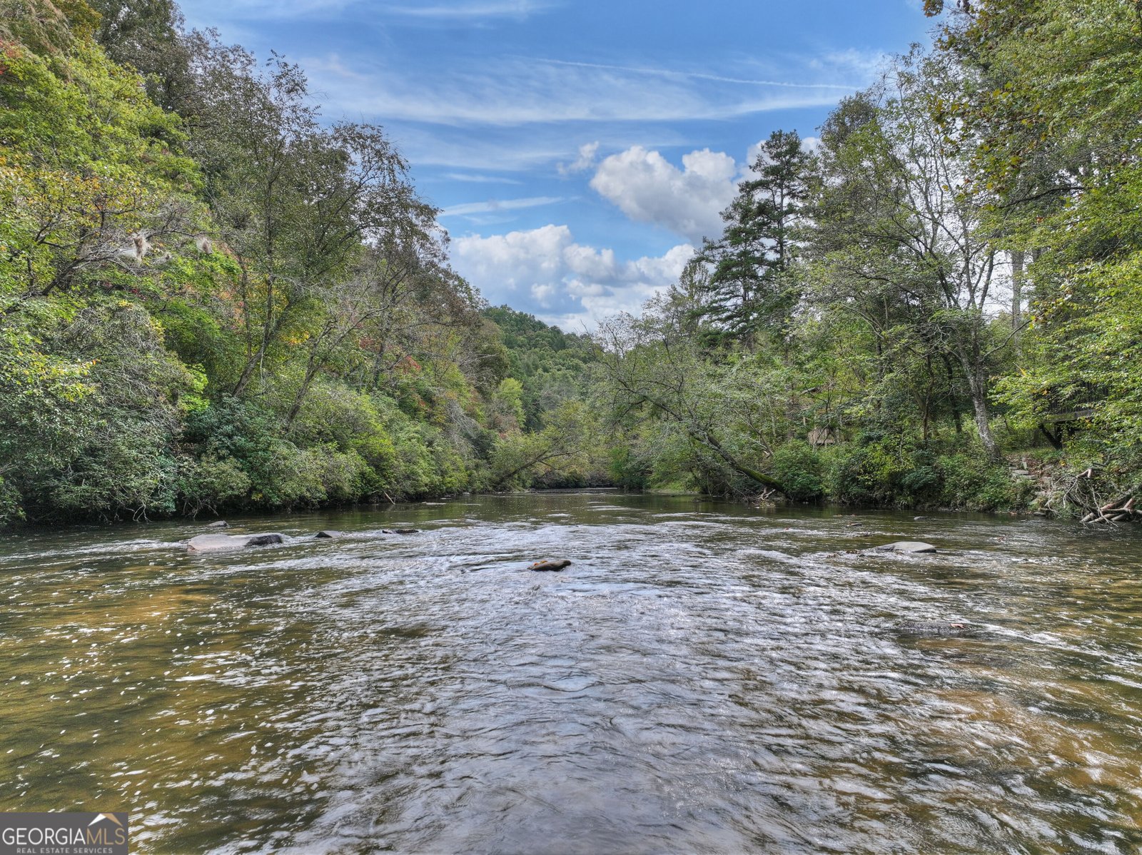 633 Riverfront Drive Ellijay - Photo 88