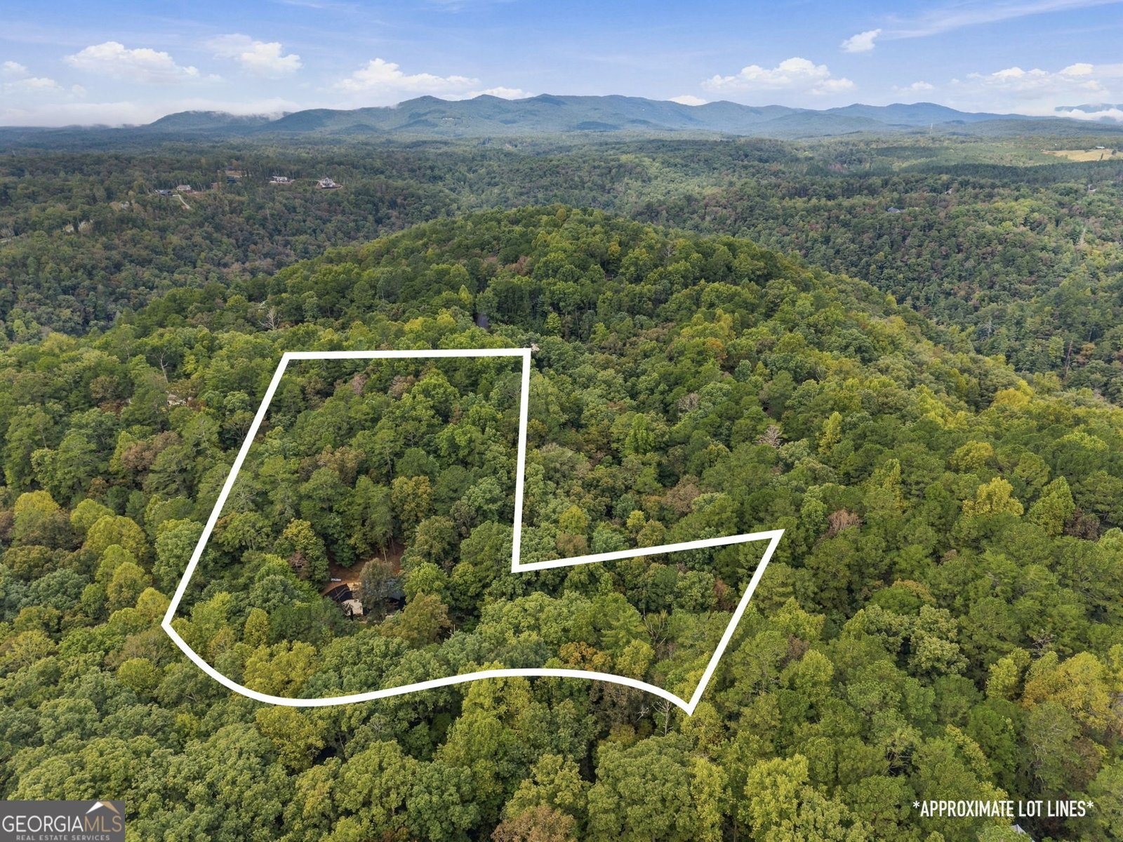 100 Julep Circle Ellijay - Photo 35
