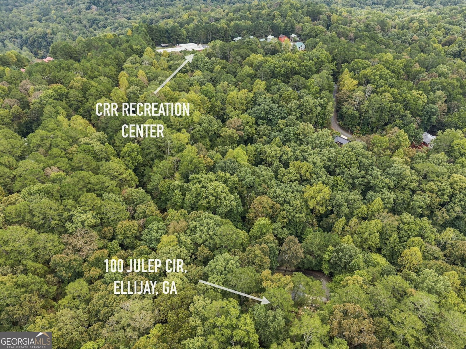 100 Julep Circle Ellijay - Photo 36