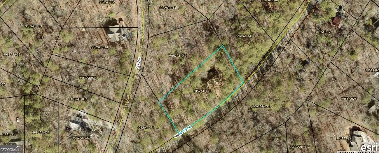 364 Monocle Drive Ellijay - Photo 47