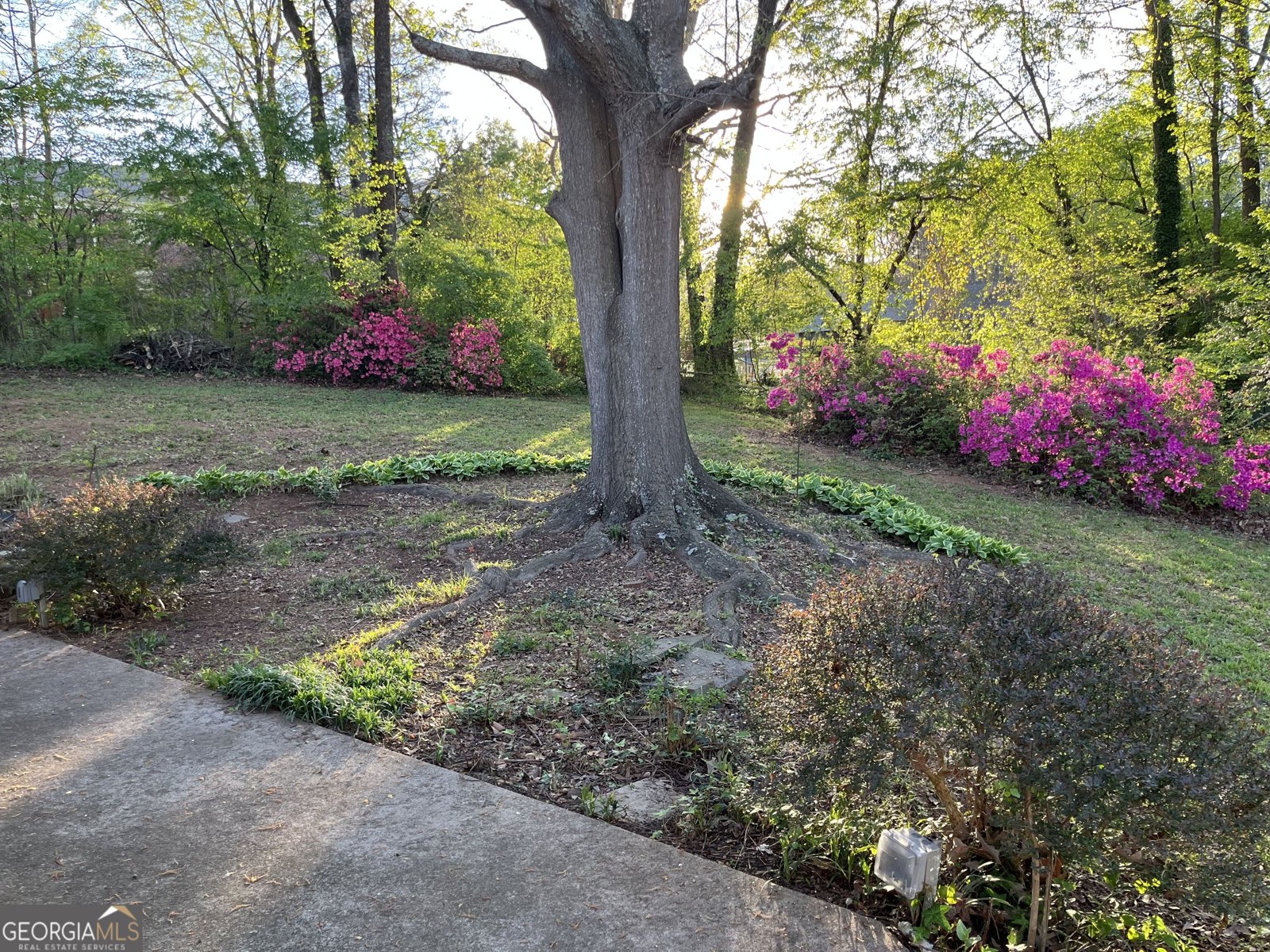 3650 Fred Walker Drive Smyrna - Photo 56