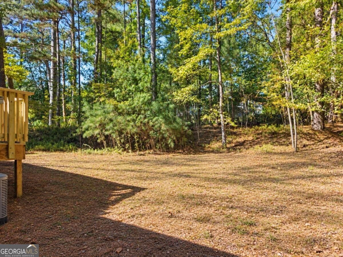 1087 Magnolia Drive Villa Rica - Photo 37