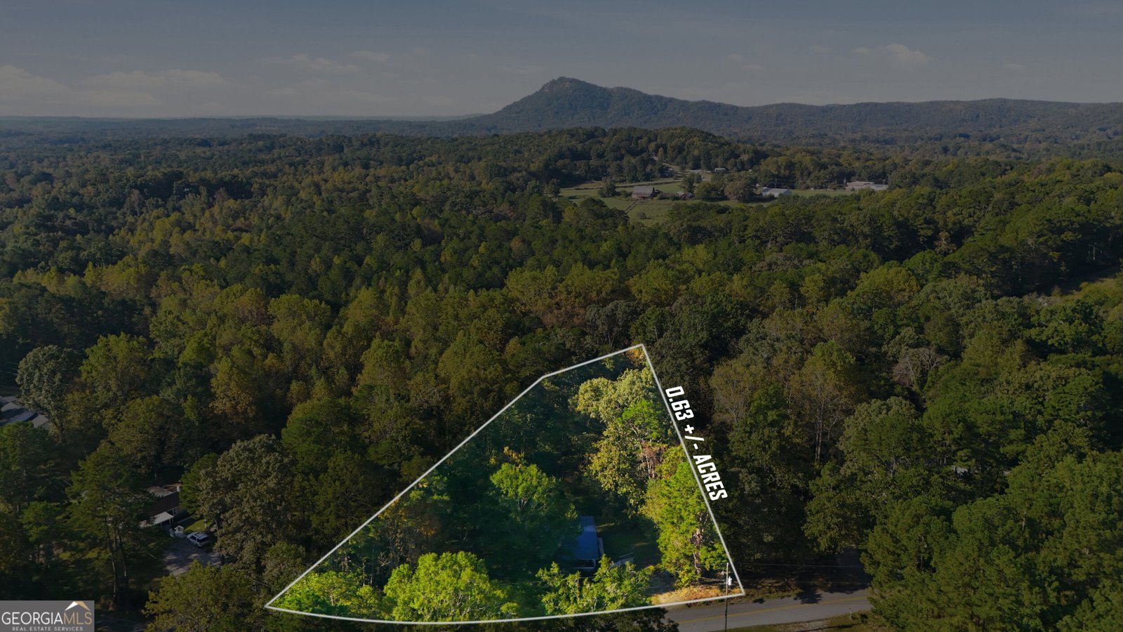 520 Easy Street Toccoa - Photo 41