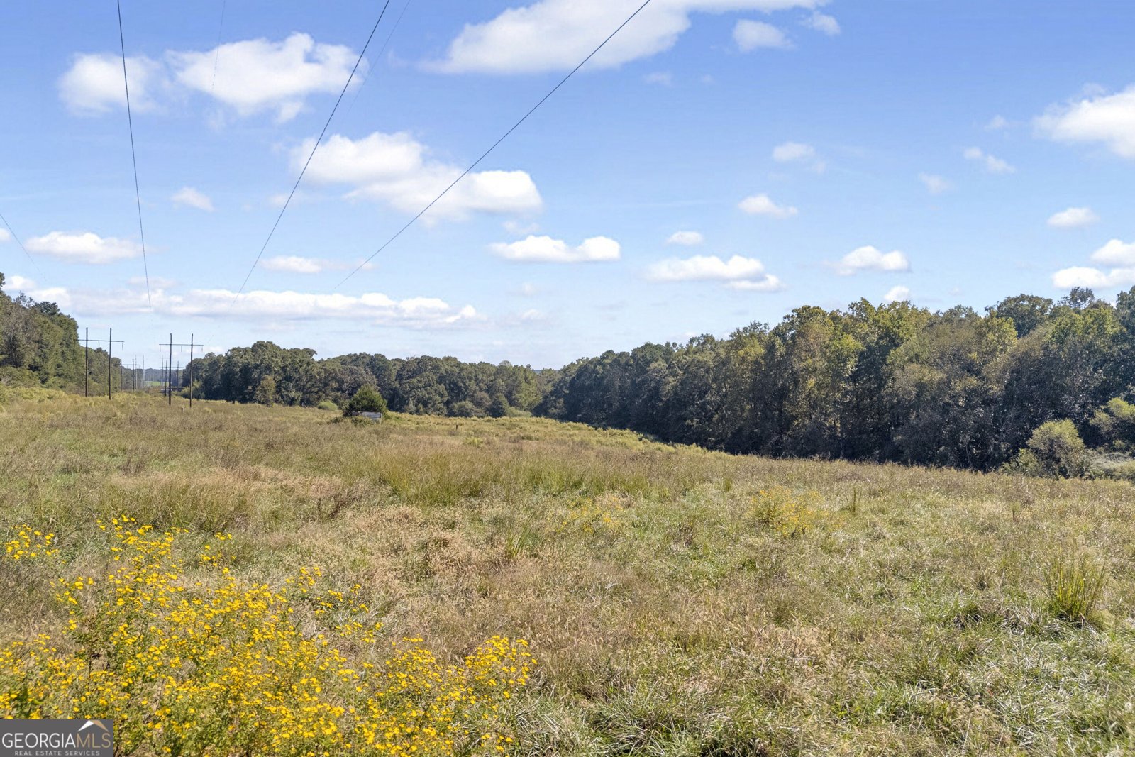 54 Kesler Road Nicholson - Photo 73